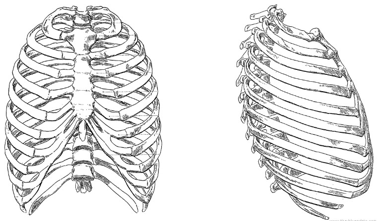 how-to-fix-rib-flare