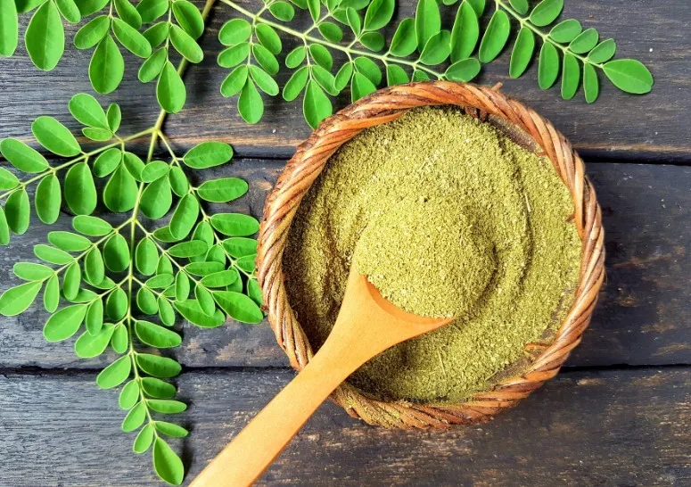 Moringa Benefits